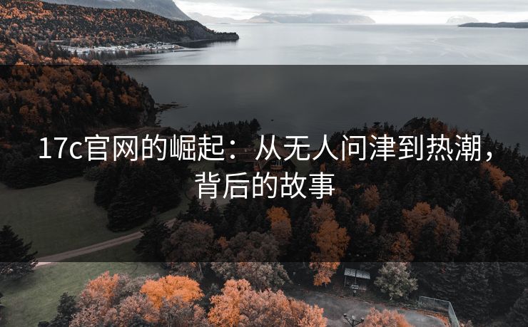 17c官网的崛起：从无人问津到热潮，背后的故事