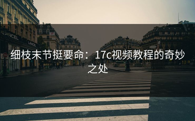 细枝末节挺要命：17c视频教程的奇妙之处