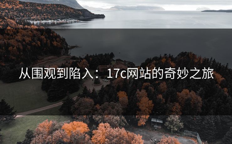 从围观到陷入：17c网站的奇妙之旅