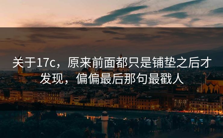 关于17c，原来前面都只是铺垫之后才发现，偏偏最后那句最戳人