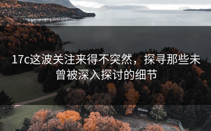 17c这波关注来得不突然，探寻那些未曾被深入探讨的细节