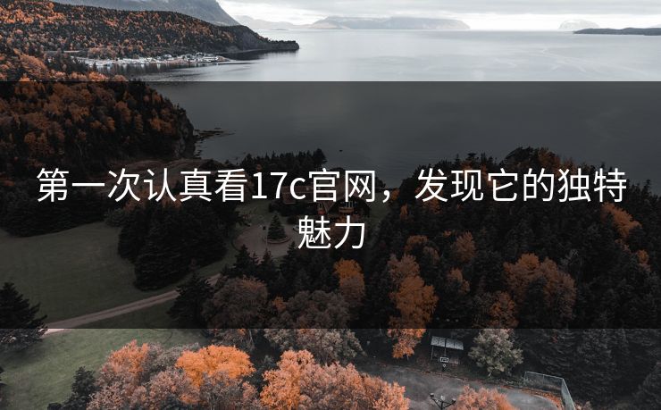 第一次认真看17c官网，发现它的独特魅力