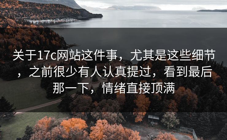 关于17c网站这件事，尤其是这些细节，之前很少有人认真提过，看到最后那一下，情绪直接顶满