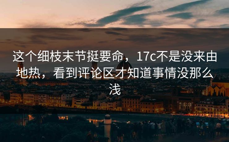 这个细枝末节挺要命，17c不是没来由地热，看到评论区才知道事情没那么浅